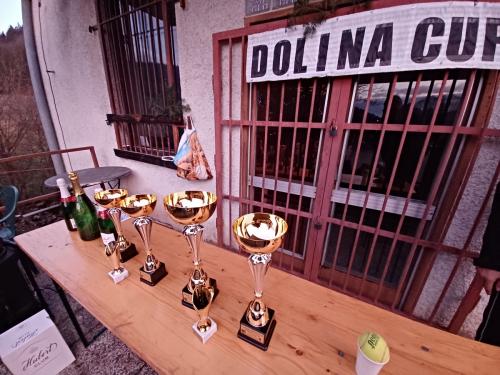 Dolina cup